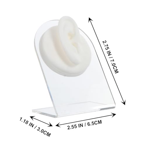 Modèle d'oreilles en silicone de haute précision pour présentation