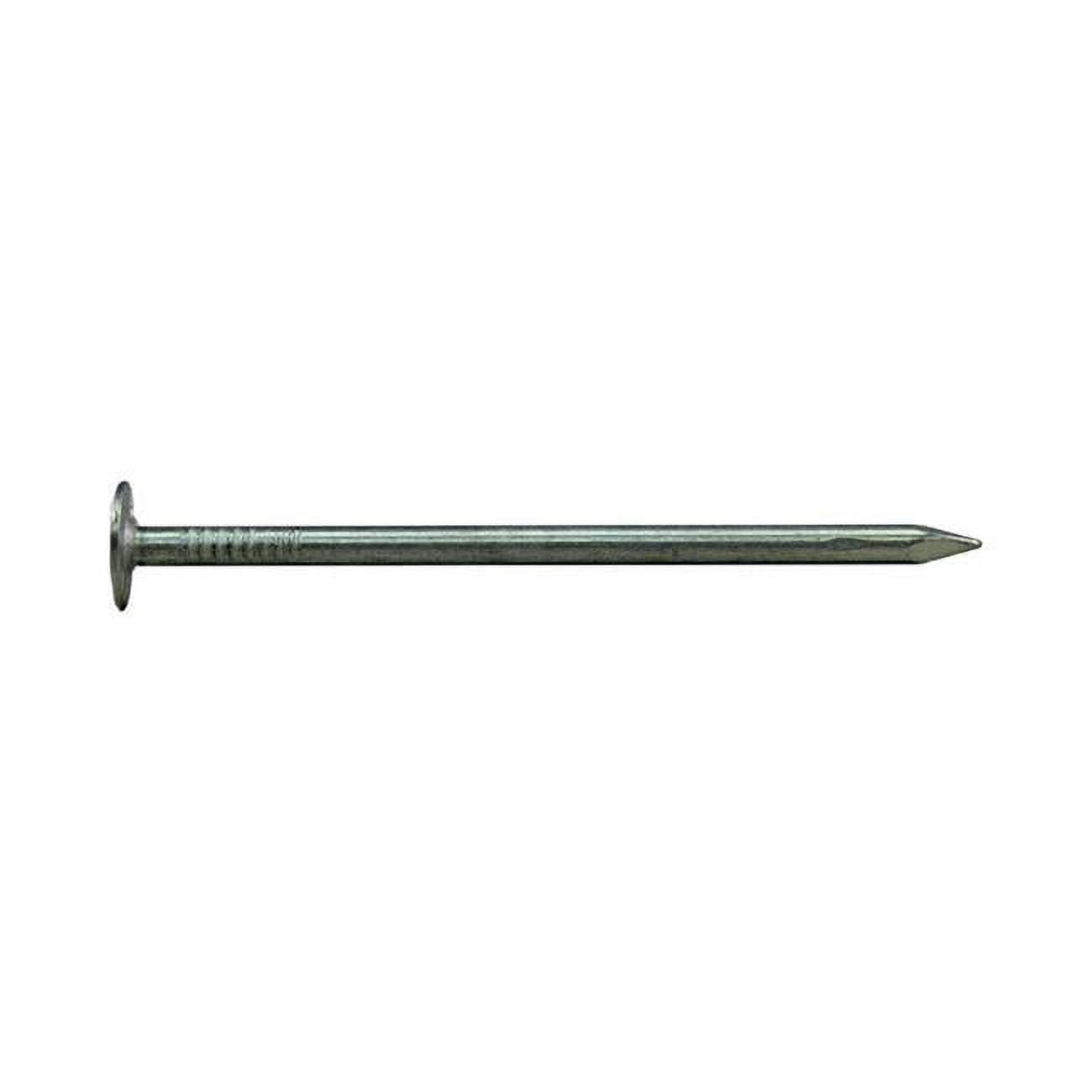 1 in. 1 lbs EG Roofing Nail