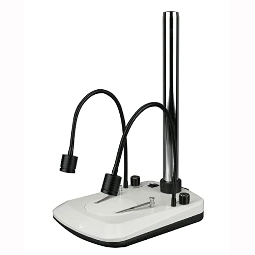 {pANZT[ fAO[XlbNC~l[^[XeIe[uX^h