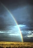 when does the golden age end berserk  The True Gold at the End of the Rainbow