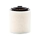 Mann-Filter C 15 008 Luftfilter für PKW