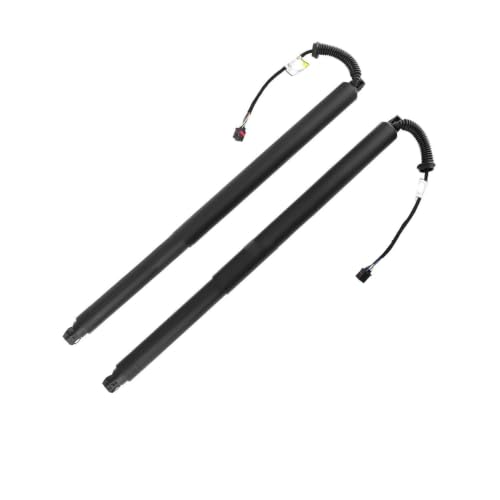 Vérins de coffre à levage fluide pour hayon électrique de Nissan Murano 2015-2021 OEM