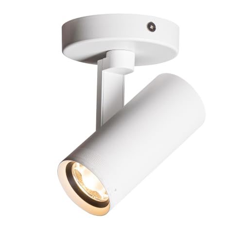 AISILAN Ceiling Spotlight Indoor, 12W COB LED Spot Lights Indoor, 1 Pack