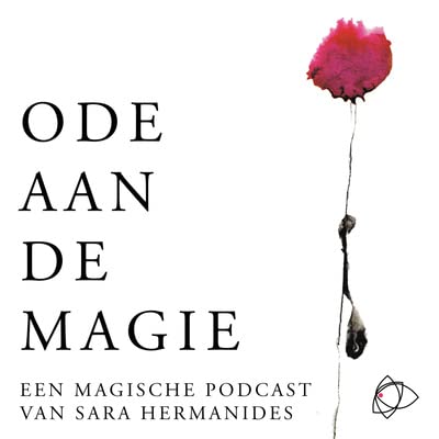 Afl. 7 - Ode aan de magie met Joost Leeflang