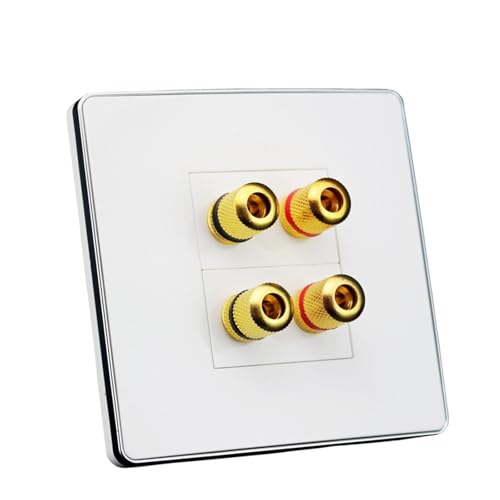 Plaque de montage murale pour haut-parleur pour cacher les câbles audio avec 4 ports or