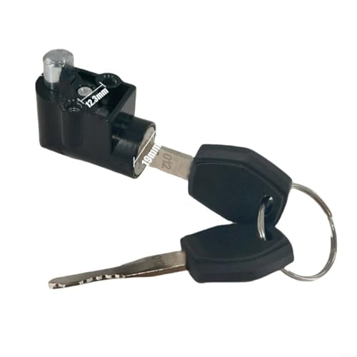 EXTRWORY E-Bike Batterieschloss und Schlüssel für Polly DP-4 DP-5 DP-6 DP-9 Gehäuse, 10 mm Metall-Sicherheitsersatz mit silberfarbenem Finish für tägliches Pendeln