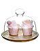 QWORK Glass Dome Cloche with Acacia Wood Tray – 7