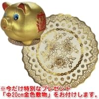Amazon.co.jp: 金ブタ貯金箱 12インチ（送無） | 猪年,亥年,子宝,金運