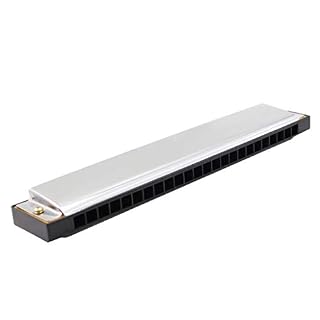 KIRANDIE Organe de Bouche 24 Trous C Harmonica Miniature Instrument Luthiers Party avec boîte - Les Beatles, Paul McCartney, John Lennon, RIngo Starr, George Harrison KIRANDIE Organe de Bouche 24 Trous C Harmonica Miniature Instrument Luthiers Party avec boîte – Image 2