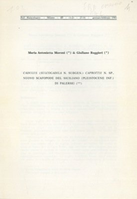 Cadulus (Sulcogadila N. Subgen. ) caprottii N. Sp. , nuovo Scafopoide del Siciliano (Pleistocene Inf. ) di Palermo.