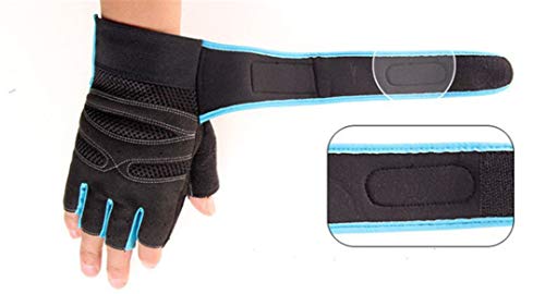 LAFILLETTE Shockproof Anti-Slip Outdoor Professional Road Bike Bicycle Half Finger Cycling Gloves for Men Sport Gloves (Blue, Microfiber)