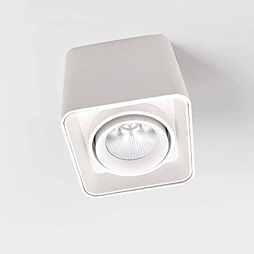 Luminaires de montage de plafond réglable 10W pour corriger les couloirs sombres