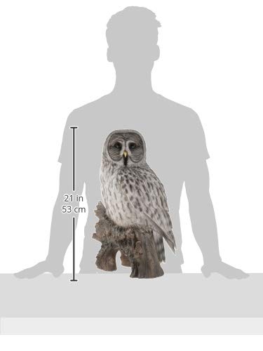 owl様 Amazon.com : Hi-Line Gift Ltd Owl on Stump Statue, Grey