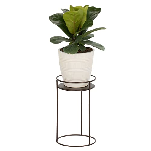 Mdesign Metal 12-Inch Tall Circular Plant Stand, Planter Holder Contemporary Design Round Tray For Table, Garden; Holds Indoor/Outdoor Plants, Flower Pot - Concerto Collection - 2 Pack - Bronze #TOP6