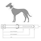 HUNTER Hundehalsband BASIC, Farbe: braun/schwarz, Pflegeleichtes Spaltleder, Raffinierte Nahtführung, Dezentes Design, Größe: 37