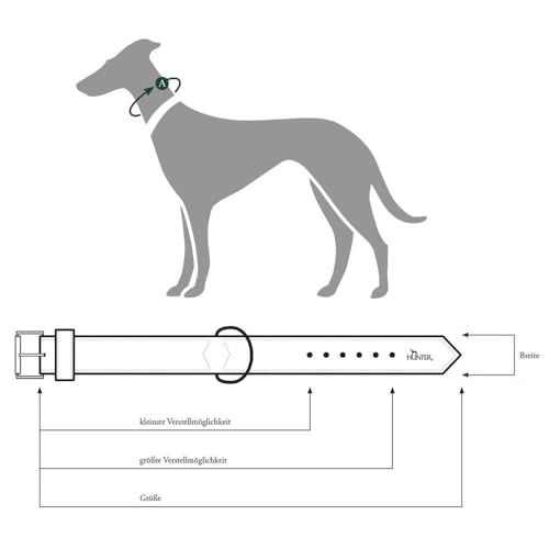 HUNTER Hundehalsband BASIC, Farbe: braun/schwarz, Pflegeleichtes Spaltleder, Raffinierte Nahtführung, Dezentes Design, Größe: 37