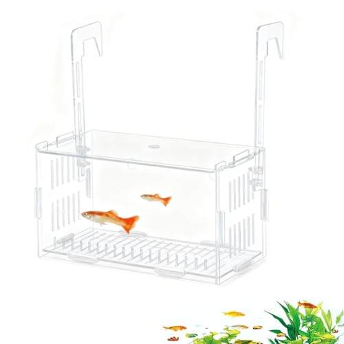 siawadeky  ɐBu{bNX YP[X p zY  AN dŒ ȃXy[X tȒP tu u ی Ϗ܋ Mы  _J x^ GrȂǊώ@P[X كANZT[