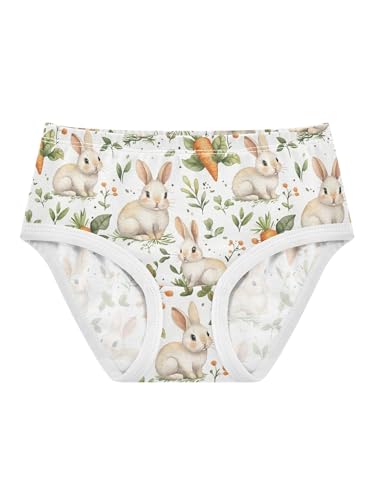 ZZKKO Cute Rabbits and Carrots Girls Underwear Toddler Panties for Girls Comfort Brief Size 2T