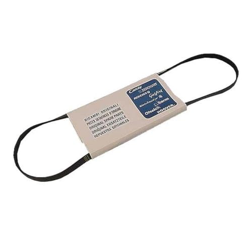 SOS Accessoire Courroie 1231H Poly V pour Lave-linge 41003164 BLUESKY, CANDY, DOMAN, HOOVER, OSTEIN, OTSEIN, ZEROWATT