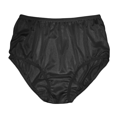 Image of Teri Women's 331 Plain Jane Classic Nylon Silky-Smooth Lightweight Breathable Full Coverage Brief Panty - 4 Pack