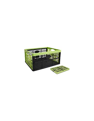 Tontarelli 85686 Caja multiusos, negra y verde, 47,5 x 35 x 23,6 cm Cover
