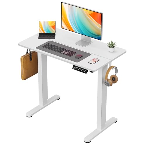 Adjustable Small Standing Desk with Hooks