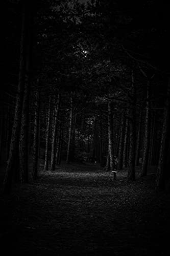 04 - The Great Terrors Titelbild