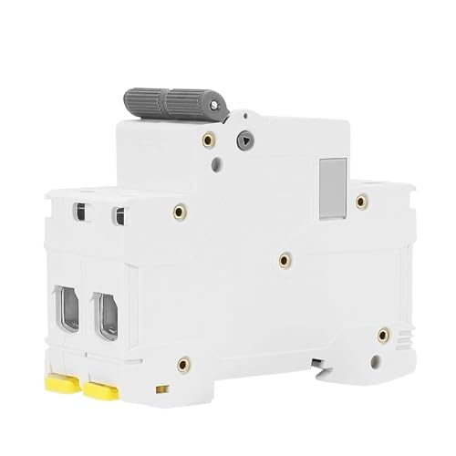 Disjoncteur double phase GYM9 100A compacité 35,6 mm courbe C 2P - 4