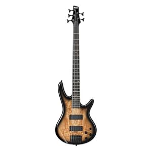 Ibanez GSR205SM-NGT basso elettrico a 5 corde, scoppio grigio naturale