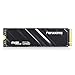 fanxiang M.2 SSD 512GB,NVMe SSD con disipador térmico, hasta 3000MB/S, PCIe Gen3 x4 2280,SSD Interno, caché SLC 3D NAND,Discos Duros -S501Q