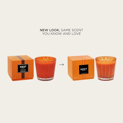 NEST New York Scented 3-Wick Candle, Pumpkin Chai - 21.2 oz - Up to 100-Hour Burn Time - Reusable Glass Vessel2