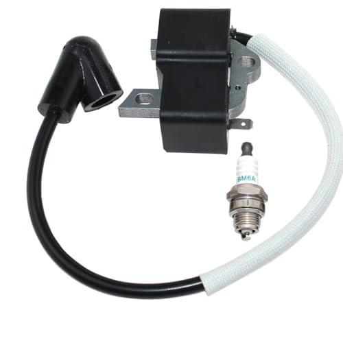 Module de bobine d'allumage contre les démarrages difficiles 358792032 - 5
