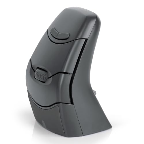 Ratón inalámbrico ergonómico vertical recargable DXT gris con Bluetooth y 2.4G