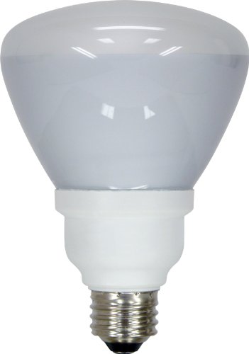 GE Energy Smart CFL 21709 15-Watt, 740-Lumen R30 Floodlight Bulb with Medium Base, 1-Pack