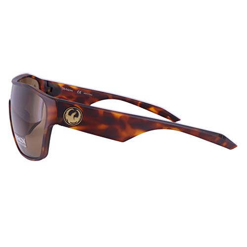Sunglasses DRAGON DR TOLM LL 246 MATTE TORTOISE/LL BROWN3
