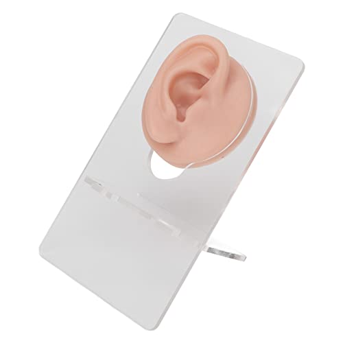BAAROO Soft Silicone Ear Model, 3 Pair Acrylic Bracket Human Ear Model, Reused Ear Displays Mould Professional Ear Piercing Tool Safety Pierce Tool for Piercing Practice Earring Display