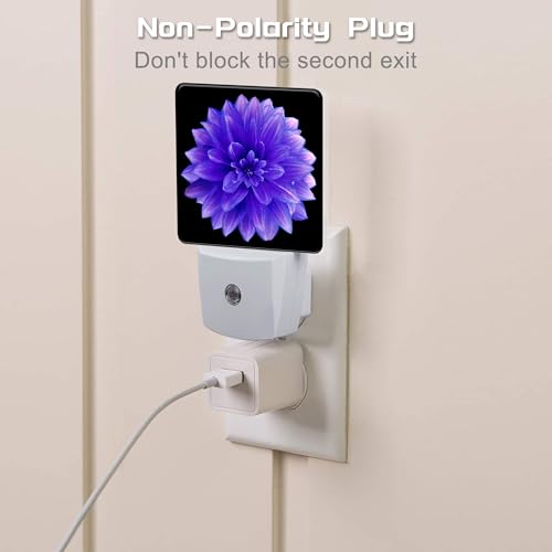 Image of Purple Dahlia Flower Night Light for Kids, Abstract Blooming Floral Night Light Plug in with Dusk to Dawn Sensor, 0.5w Energy Saving Sleep Friendly Nightlight for Hallway Stairway Kitchen Bedroom