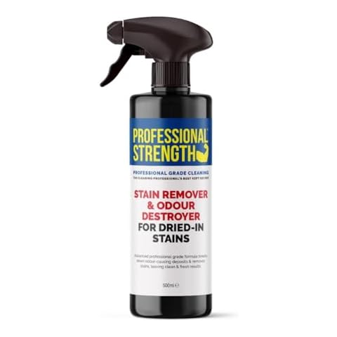 Professional Strength Dried-In Stain Remover Solution Cover