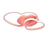 Ce lustre allie des éléments classiques à un rendu saisissant pour garantir la durabilité de votre produit !