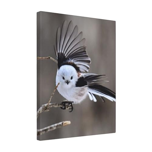 A[gplǊ| 킢 4 ?Ǒ?z _ |X^[  k|X^[ \t@wiAoX[N̗ǂ|[`Aؐt[free Size