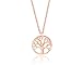 Produktbild Nuoli® Lebensbaum Kette Rosegold (45 + 5cm verstellbar) Halskette Rosegold mit Baum des Lebens Anhänger, aus poliertem Edelstahl