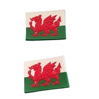 2 Welsh Flag Shoe Charms For Crocs & Jibbitz Wristbands