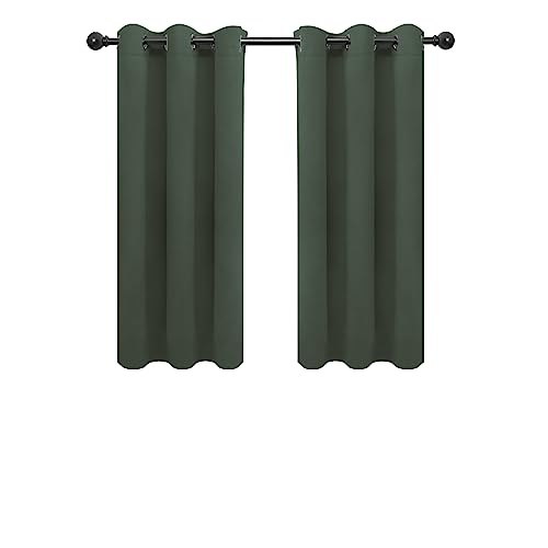 Easy-Going Blackout Curtains, Thermal Insulated, Noise Reduction, 2 Panels (34x54 in) - image 1