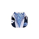 DiBanGu Blue Ascot Ties for Men Cravat Tie and Pocket Square Set Jacquard Silk Ascot Paisley Cravat for Men