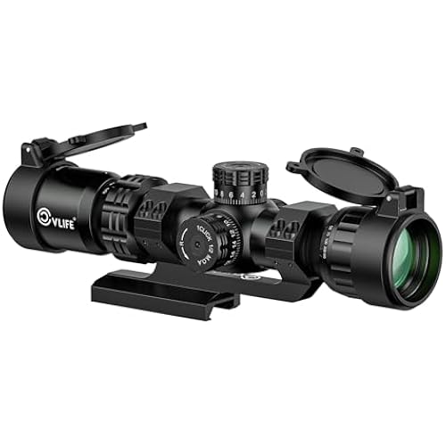 CVLIFE 2-10x32 MPVO AO Rifle Scope with Locking Turret, 5 Levels Red & Green Illumination Reticle, Parallax Adjustment, Second Focal Plane Scopes with 30mm Offset Scope Mount