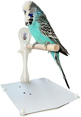 Bird Window and Shower Perch. Stick on Using Suction Cups with Droppings Catchment Tray. (NOT for Large Birds).