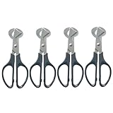 Photo Gallery garneck 4 pz forbici per uova di quaglia tagliauova per uccelli taglia gusci d uovo di quaglia tagliauovo forbice per uova apriscatole per gusci d uovo acciaio inossidabile black Photo Gallery garneck 4 pz forbici per uova di quaglia tagliauova per uccelli taglia gusci d uovo di quaglia tagliauovo forbice per uova apriscatole per gusci d uovo acciaio inossidabile black