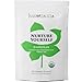 Gynostemma Tea - Jiaogulan AMPK Activator Herbal Tea - Potent Antioxidant & Adaptogenic Longevity Herb - All Natural Caffeine-Free Immortality Herb - 15 Pyramid Tea Bags