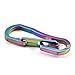 LJQSS Lumière Porte-clés en Acier Inoxydable Crochet Crochet Boucle Keychain Anneau d'escalade Mousqueton Gym Sport Randonnée Caribiner Sac à Dos Porte-Courroie Sécurité (Size : Colorful)