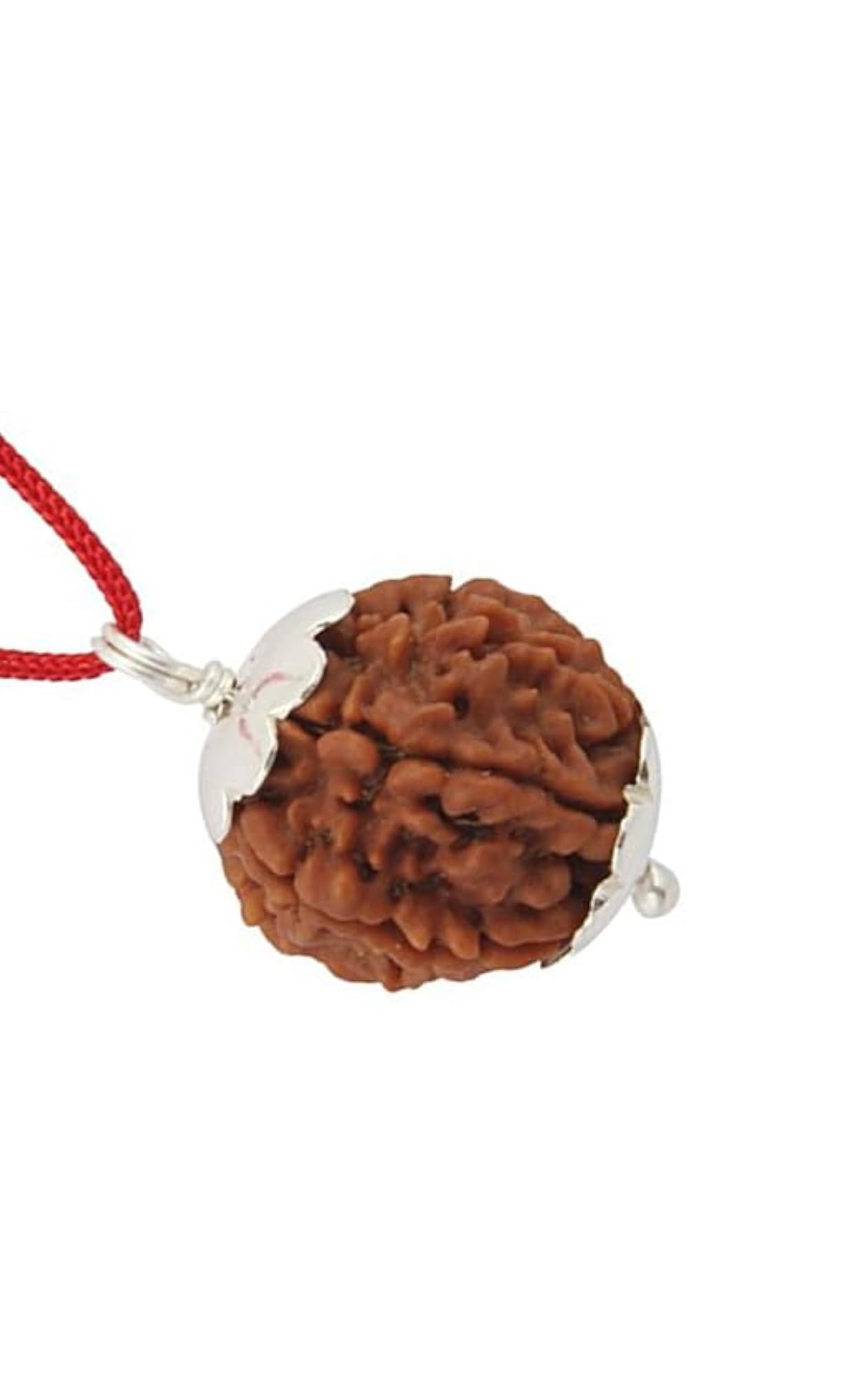 6 Mukhi Faced Rudraksha, Unisex
